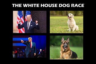 How the White House Dog Race Is Heating Up with a Video Link
