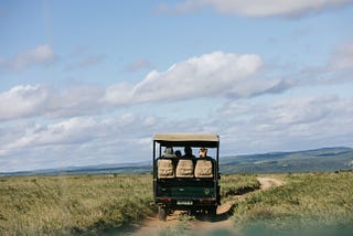 Top Safari Destinations