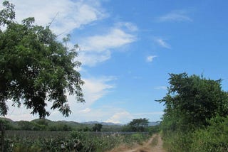 Discover Your Dream Property: Real Estate and Land for Sale in Monteon