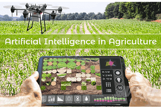 AI in Agriculture