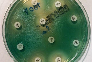 Pseudomonas aeruginosa Outbreaks in Cystic Fibrosis; Forty-two Years of Discovery