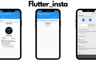 How to get Instagram user’s details and download reels video in flutter?