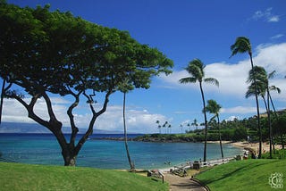 What To Do Before Vacationing In Maui?