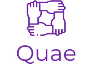 Investment Memo: Quae