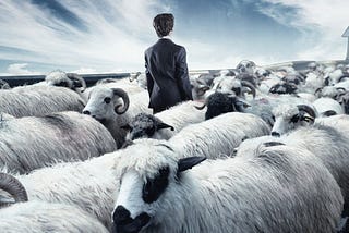 The Only Way to Differentiate Your Business In A Crowded Market