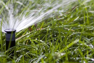 Water Your Own Garden First, Before Inquiring About the Neighbors