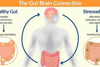 Stress and the gut
