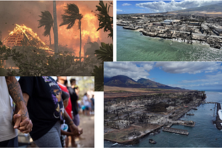 The Maui wildfires : Chaos created by fire or negligence?