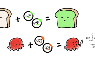 How to Design Plasmids from Scratch