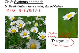David Hastings Eckerd College Professor Exploring Daisy World Systems Approach