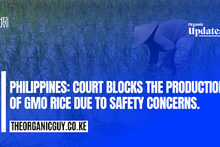 PHILIPPINES: COURT BLOCKS THE PRODUCTION OF GMO RICE DUE TO SAFETY CONCERNS.