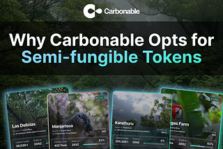 Why Carbonable Opts for Semi-fungible Tokens