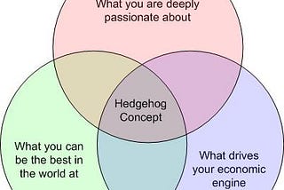 Finding my hedgehog