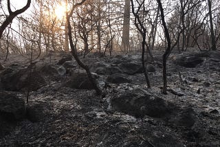 Spending a week with the wildfire in our backyard