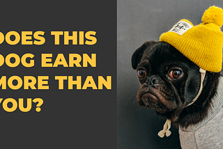 Does this dog earn more than you?