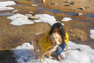 My pet golden retriever dog Alzu and I on a two month vacation in Leh