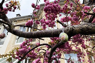 Spring is not only Sprung — it’s Nearly Summer Already!