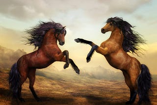 Beautiful brown stallions are on their hindlegs about to crash into one another.