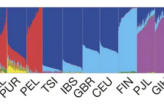 How to apply polygenic risk scores across diverse populations