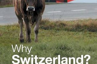 Cover of the book Why Switzerland by Jonathan Steinberg showing a cow by the side of a road.