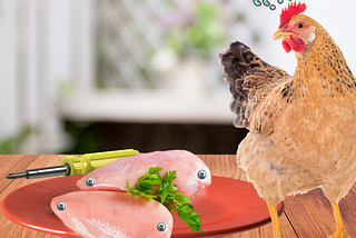 A chicken looks confusingly at a plate of chicken breasts with screws in them.