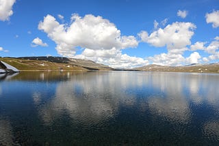 Nature: A Solution to the Mental Health Crisis