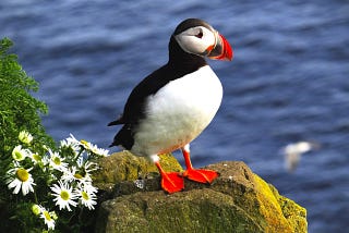 Iceland — A Million Beautiful Sights You Can’t Pronounce