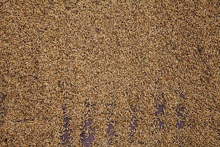 Organic Basmati Rice Recipes — Why Use a Natural Recipe For Basmati Rice?