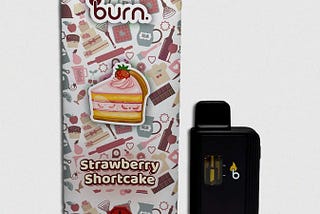 Elevate Your Vaping Experience with Burn Disposable Vapes from Door Step Cannabis