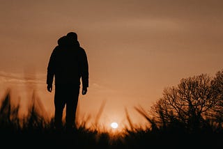 Rear view of a man walking through a field, toward the setting sun.