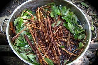 Ayahuasca- What working with the medicine did for me and why I am going back