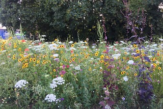 An English Summer