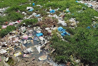 Illegal dumping of garbage in vacant plots and poor sewerage causing pollution within the town
