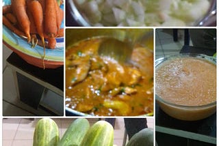 I Made My Stew with Cucumber and Carrot