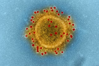 1 5 Unexpected, Amazing Facts about Viruses You Probably Didn’t Know