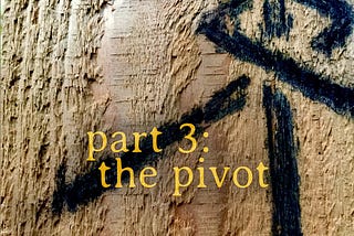 THE GARDEN, PART 3: the pivot — TEXT VERSION