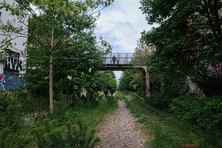 The Abandoned Railway Tracks of Paris