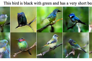 Let’s Read Science! “StackGAN: Text to Photo-Realistic Image Synthesis”