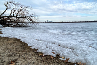 Frozen lake with a fallen tree and a city in the background