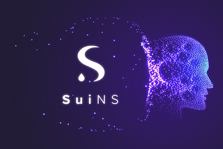 Meet The Sui Name Service
