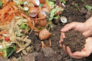 Trash Talk #10: The Dirt on Composting