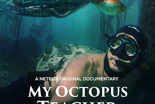 A lesson from the documentary: My octopus teacher