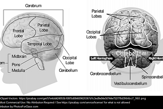 Surviving a Rod Through the Head