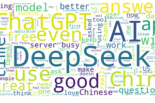 wordcloud from all the review text