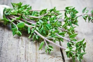 “A cozinha cheira a tomilho, algo está acontecendo nessa cozinha, talvez seja a vida”