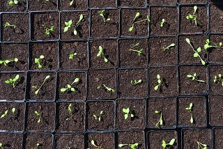 Everything you wanted to know about Flowertokens but were afraid to ask — Part 2: Physical…