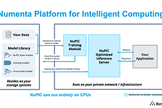Introducing the Numenta Platform for Intelligent Computing