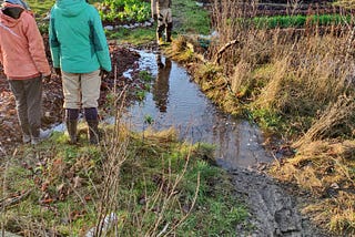 The drop that spilled the cup, a story of pond overflow management