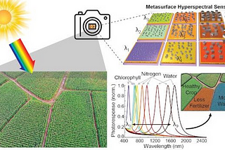 Hyperspectral Image Analysis in Agriculture