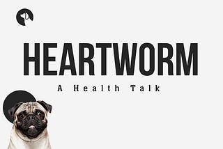 Heartworms — A detailed Health Talk